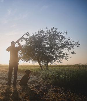 Image post by @hooeybrands on Instagram