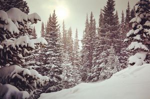 Image post by @breckenridgemtn on Instagram