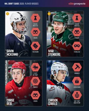 Image post by @eliteprospectshockey on Instagram