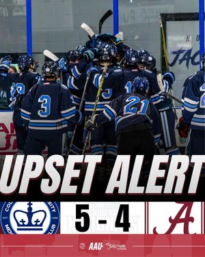 Image post by @aau_collegehockey on Instagram