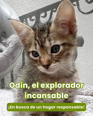 Image post by @tierradenando on Instagram