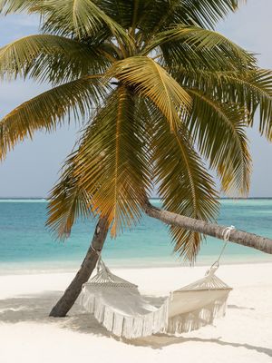 Image post by @sunsiyamresorts on Instagram