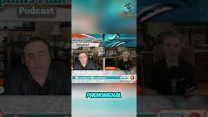 Video post by @dolphinstalk on YouTube
