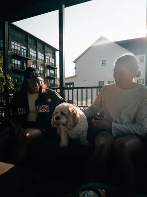 Image post by @laurahorvaht on Instagram
