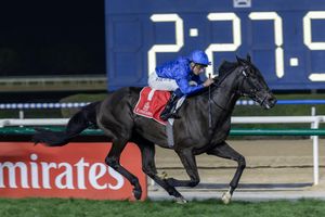 Image post by @godolphin on Instagram