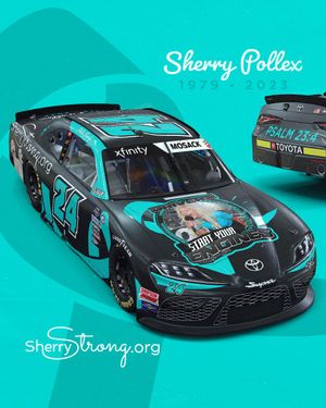 Image post by @Team_SHR26 on Twitter