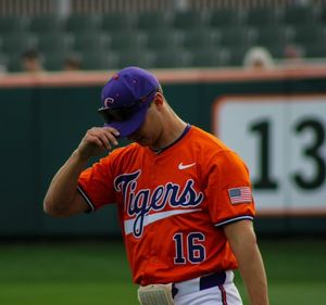 Image post by @cutigervision on Instagram