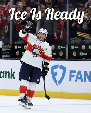 Image post by @empty.netters on Instagram