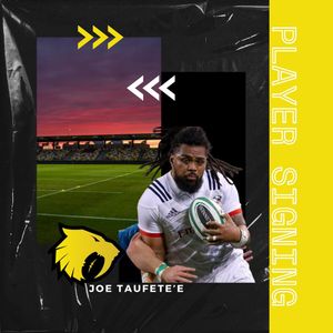 Image post by @houstonsabercats on Instagram