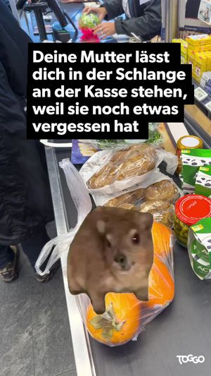 Video post by @toggo on TikTok
