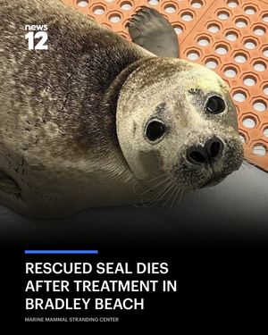 Image post by @news12nj on Instagram
