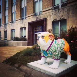 Image post by @westerniluniv on Instagram