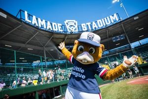 Image post by @littleleague on Instagram