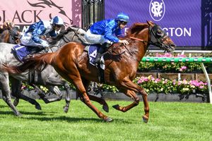 Image post by @flemingtonvrc on Instagram