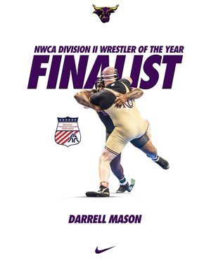 Image post by @minnstwrestling on Instagram