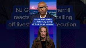Video post by @msnbc on YouTube