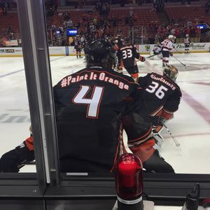 Image post by @anaheimducks on Instagram
