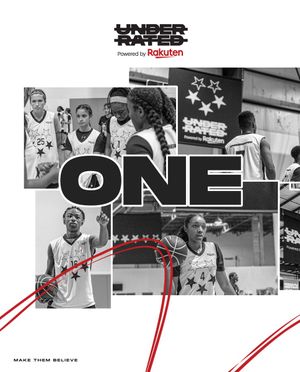 Image post by @underrated on Twitter