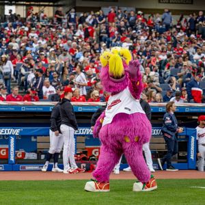 Image post by @sliderthemascot on Instagram