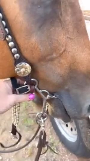 Video post by @jandcbitstexas on Facebook