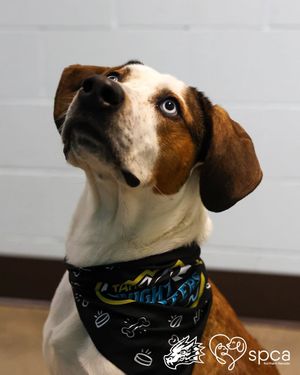 Image post by @knightmonsters on Instagram