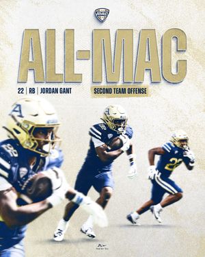 Image post by @zipsfb on Instagram