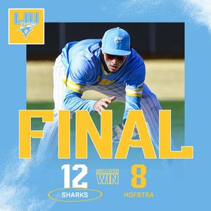 Image post by @liubaseball on Instagram