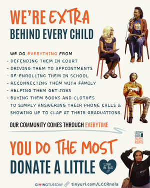 Image post by @lakidsrights on Instagram