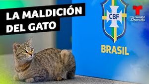 Video post by @deportes on YouTube