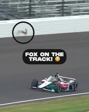 Image post by @indycar on Instagram