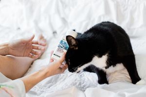 Image post by @amway on Instagram