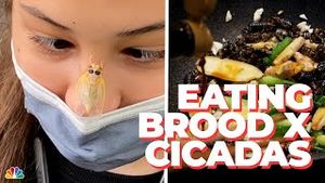 Video post by @nbcnewyork on YouTube