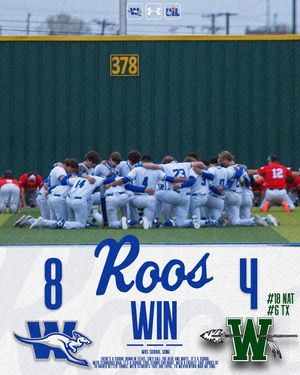 Image post by @kangaroo_baseball on Instagram