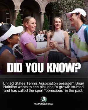 Image post by @thepickleballclinic on Instagram