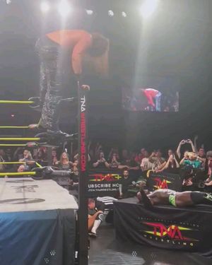 Image post by @moosenation69 on Instagram