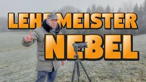 Video post by @cristanboerg on YouTube