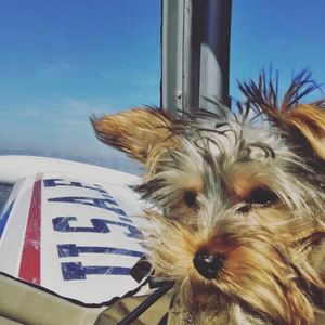 Image post by @foreflight on Instagram
