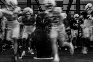 Image post by @meangreenfb on Instagram