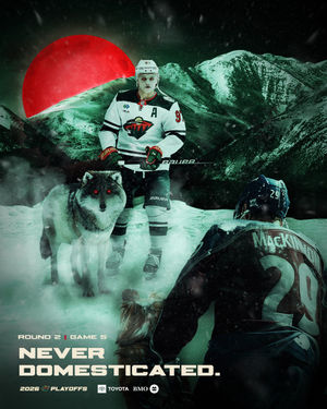 Image post by @minnesotawild on Instagram