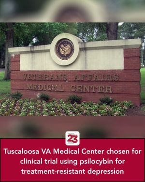 Image post by @wvua23 on Instagram