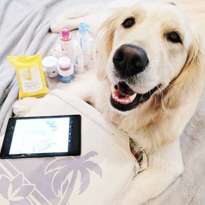 Image post by @dermae on Instagram