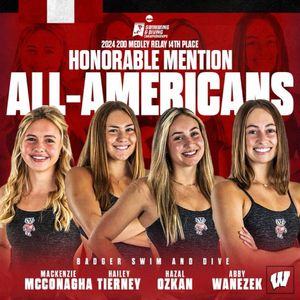 Image post by @badgerswimdive on Instagram