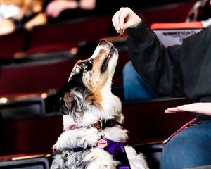 Image post by @sj_media_productions on Instagram