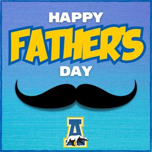 Image post by @nanookswbb on Instagram