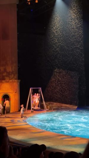 Image post by @o.cirquedusoleil on Instagram