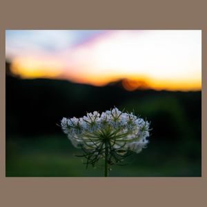 Image post by @msarkismedia on Instagram