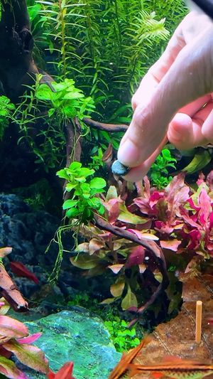 Video post by @aqualupi on Instagram