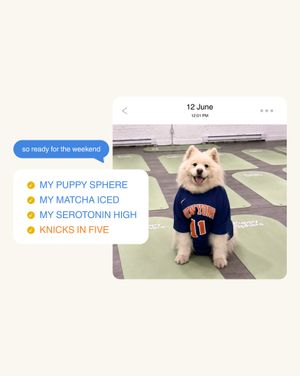 Image post by @thepuppysphere on Instagram