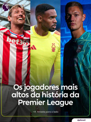 Image post by @plbrasil on TikTok