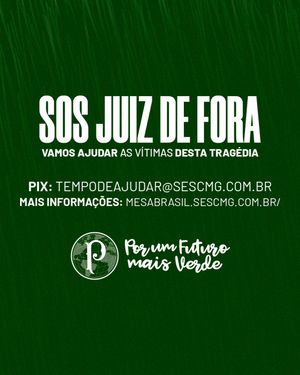Image post by @palmeiras on Instagram